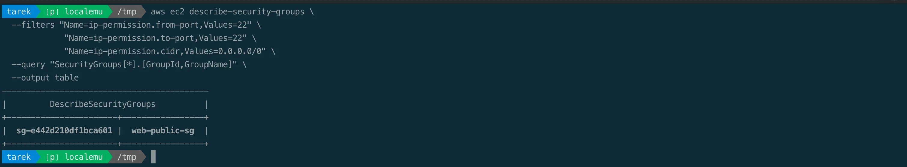 A security group exposing SSH to 0.0.0.0/0, found by the AWS CLI