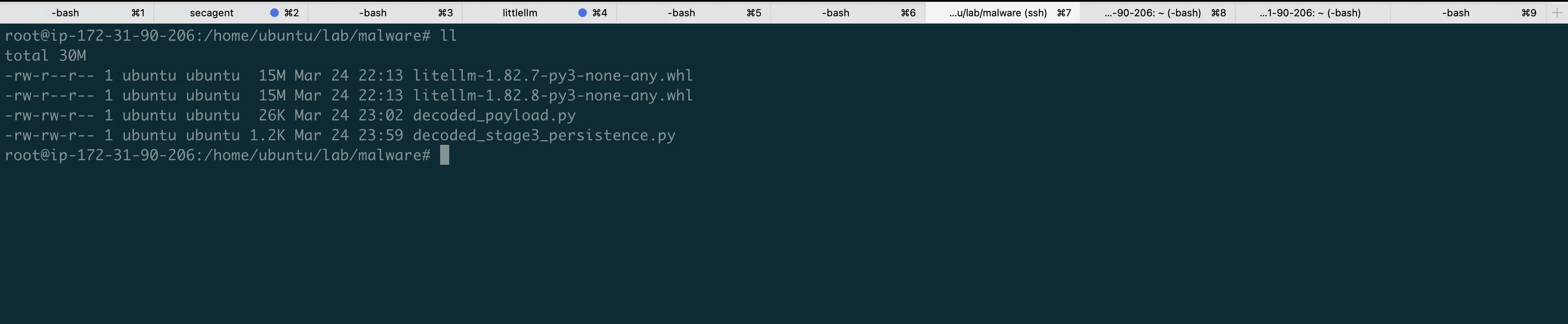 Both compromised wheels and decoded payloads on the lab instance