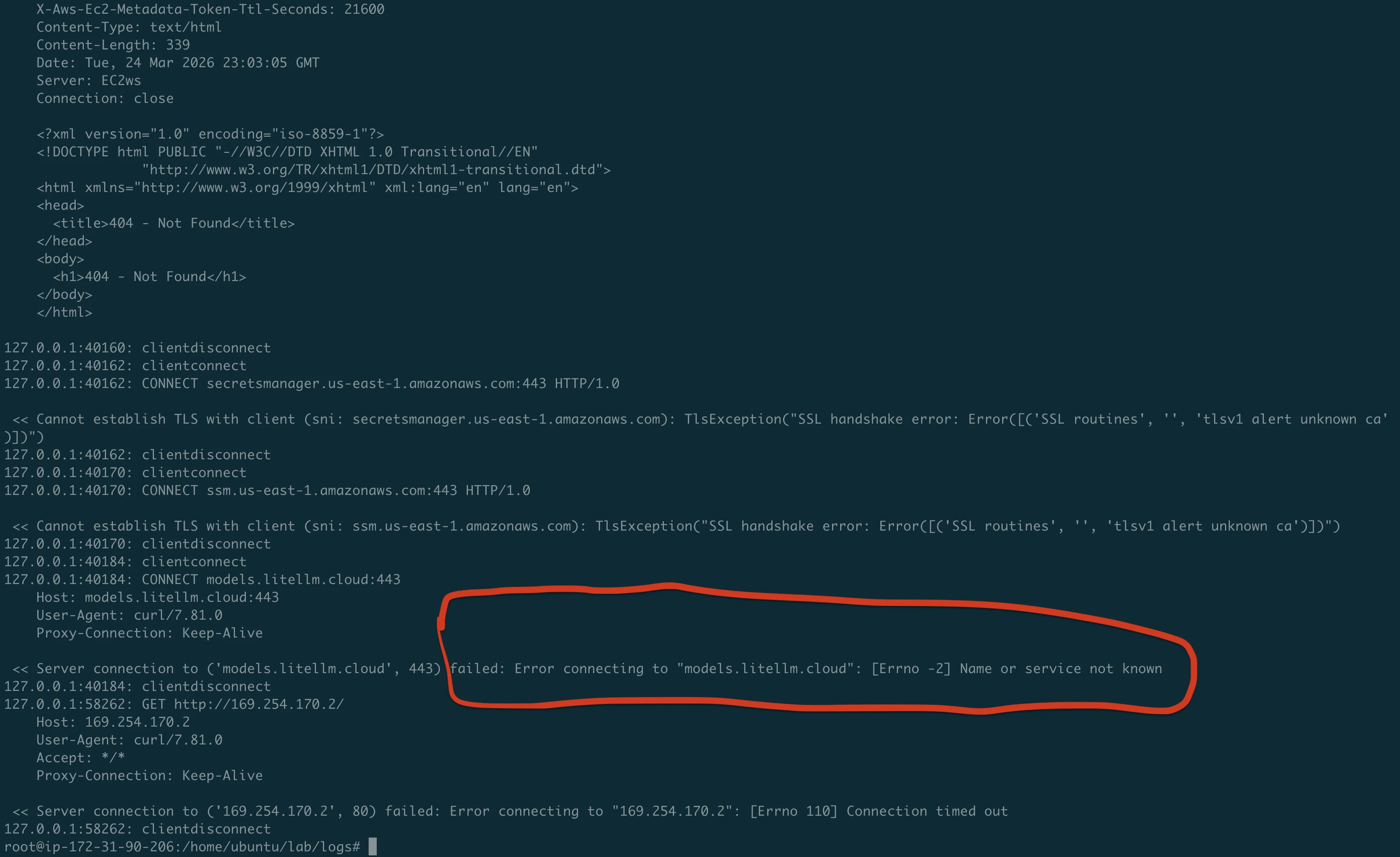 mitmproxy showing all intercepted traffic - IMDS, AWS APIs, C2 exfiltration
