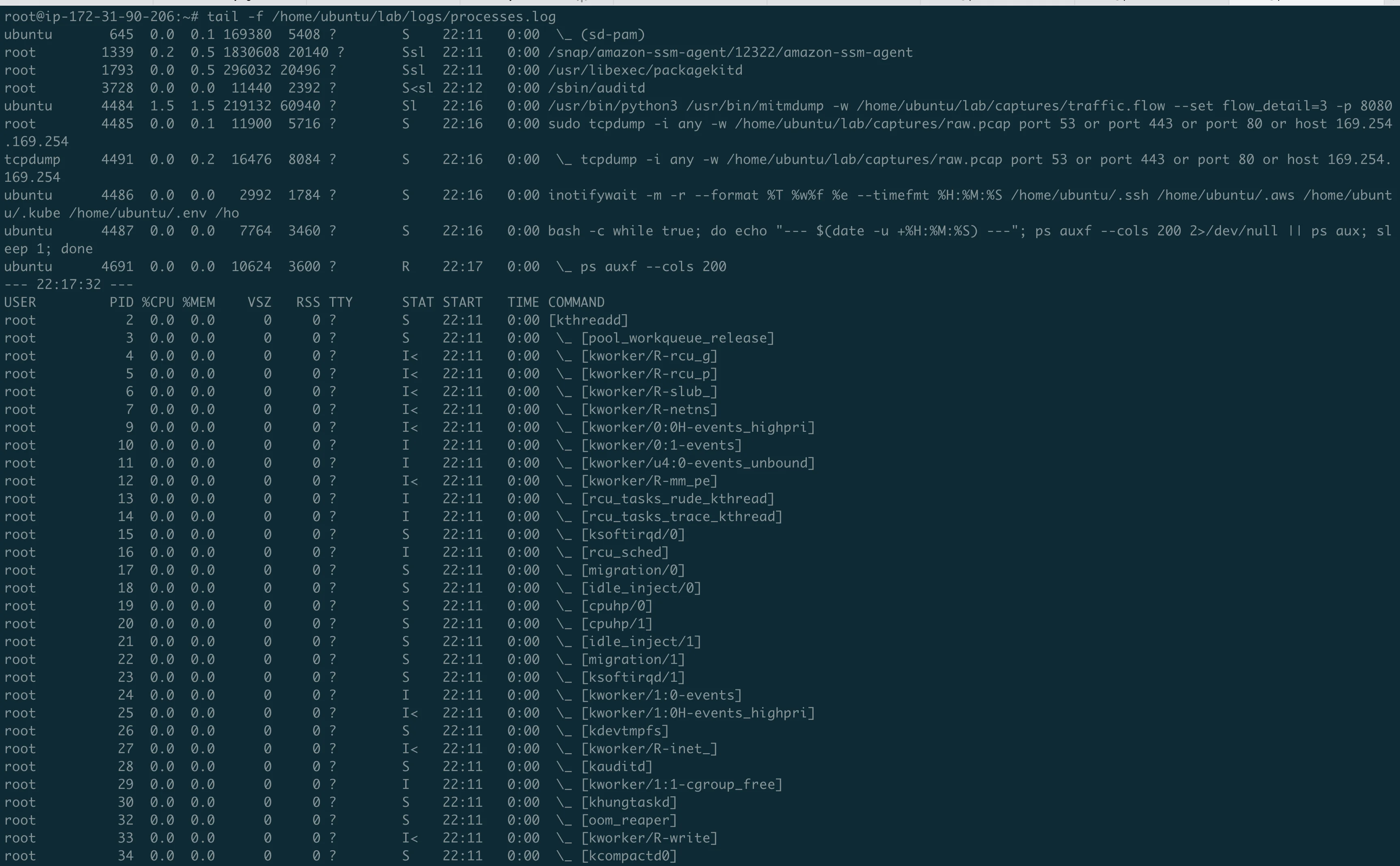 All monitors running, process tree before detonation