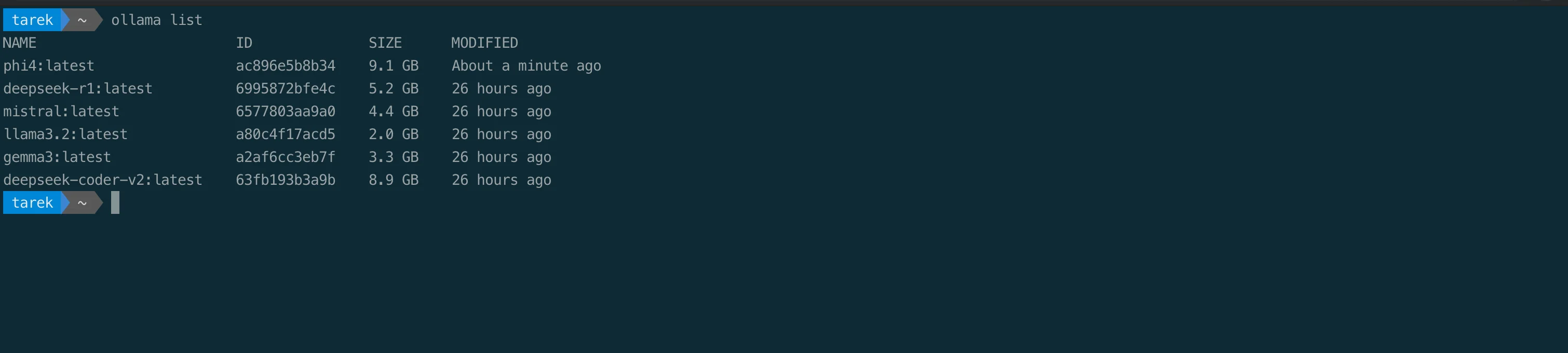 ollama list showing 6 installed models with sizes